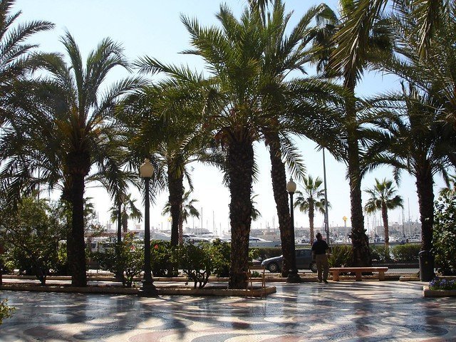 Alicantes esplanade går langs med marinaen - fotograferet af Sarah Mooring