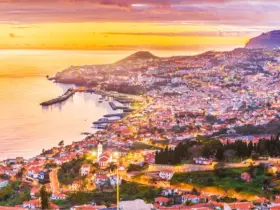 9 ferielejligheder i Funchal på Madeira med havudsigt