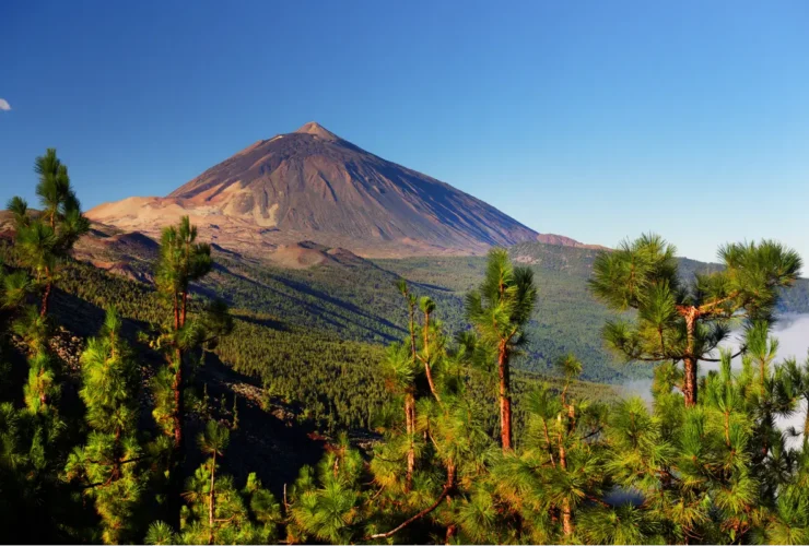 Kom tæt på verdens 3. største vulkan på en guidet tur til Teide
