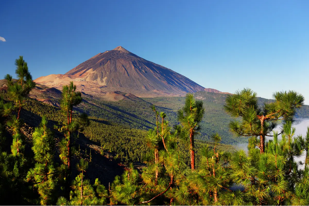 Kom tæt på verdens 3. største vulkan på en guidet tur til Teide