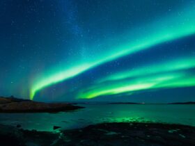 20 flotte billeder af Lofotens magiske natur