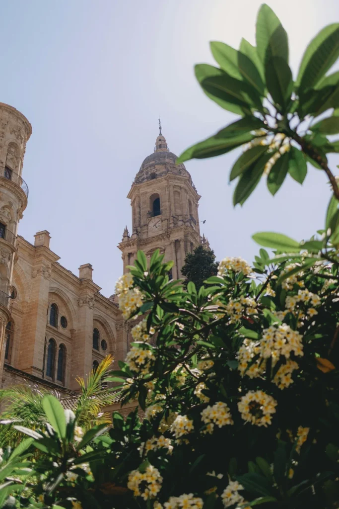 Málaga Katedral