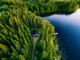 7 fredfyldte overnatninger midt i Sveriges skove