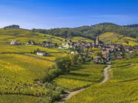 Find en god overnatning langs den 170 km lange vinrute i Alsace